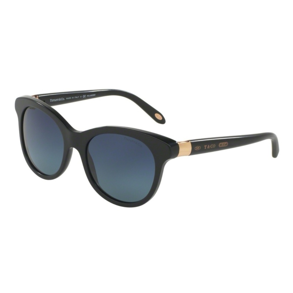 Tiffany & Co. Black and Gold Sunglasses